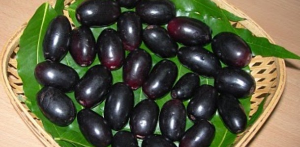 Jamun Fruit (Naaval Pazham)