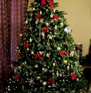 xmas-tree xmas-tree