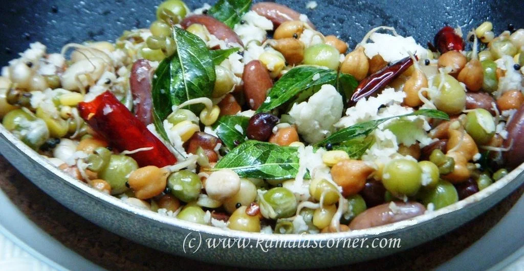 Mixed Sprouts Sundal